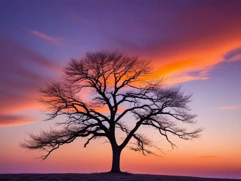 Paisaje sereno al atardecer